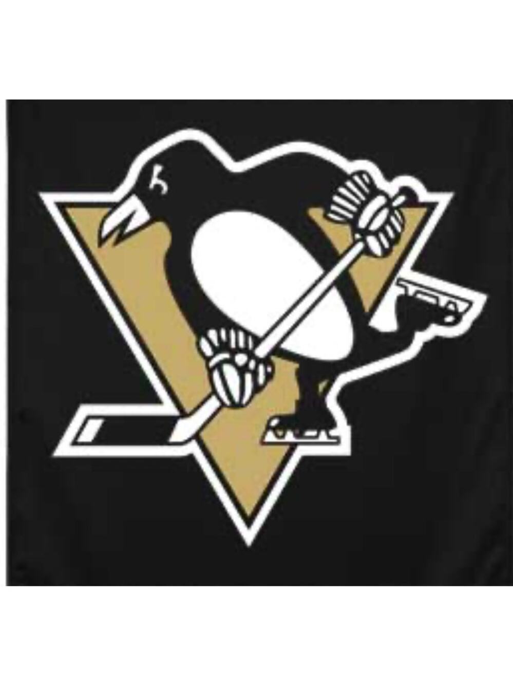 NHL Pittsburgh Penguins Skating Penguin Black Glass Frame Wall Decor 12.5"x12.5"